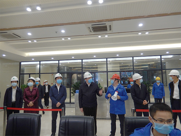廣西壯族自治區(qū)人大常委會(huì)副主任張秀隆視察綠色動(dòng)力博白項(xiàng)目